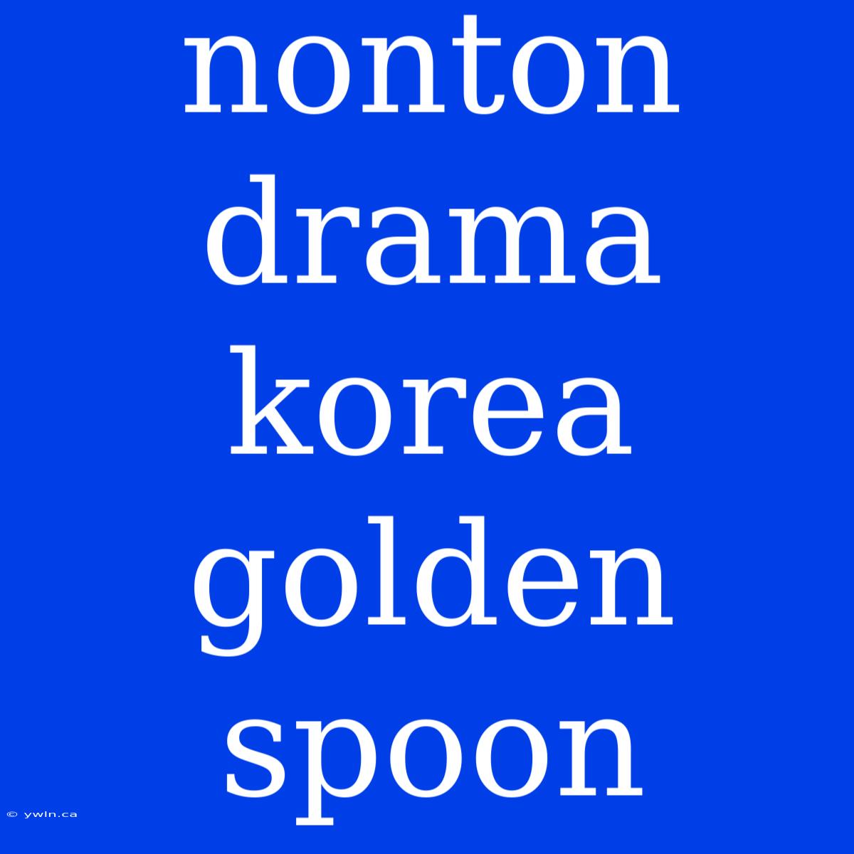 Nonton Drama Korea Golden Spoon