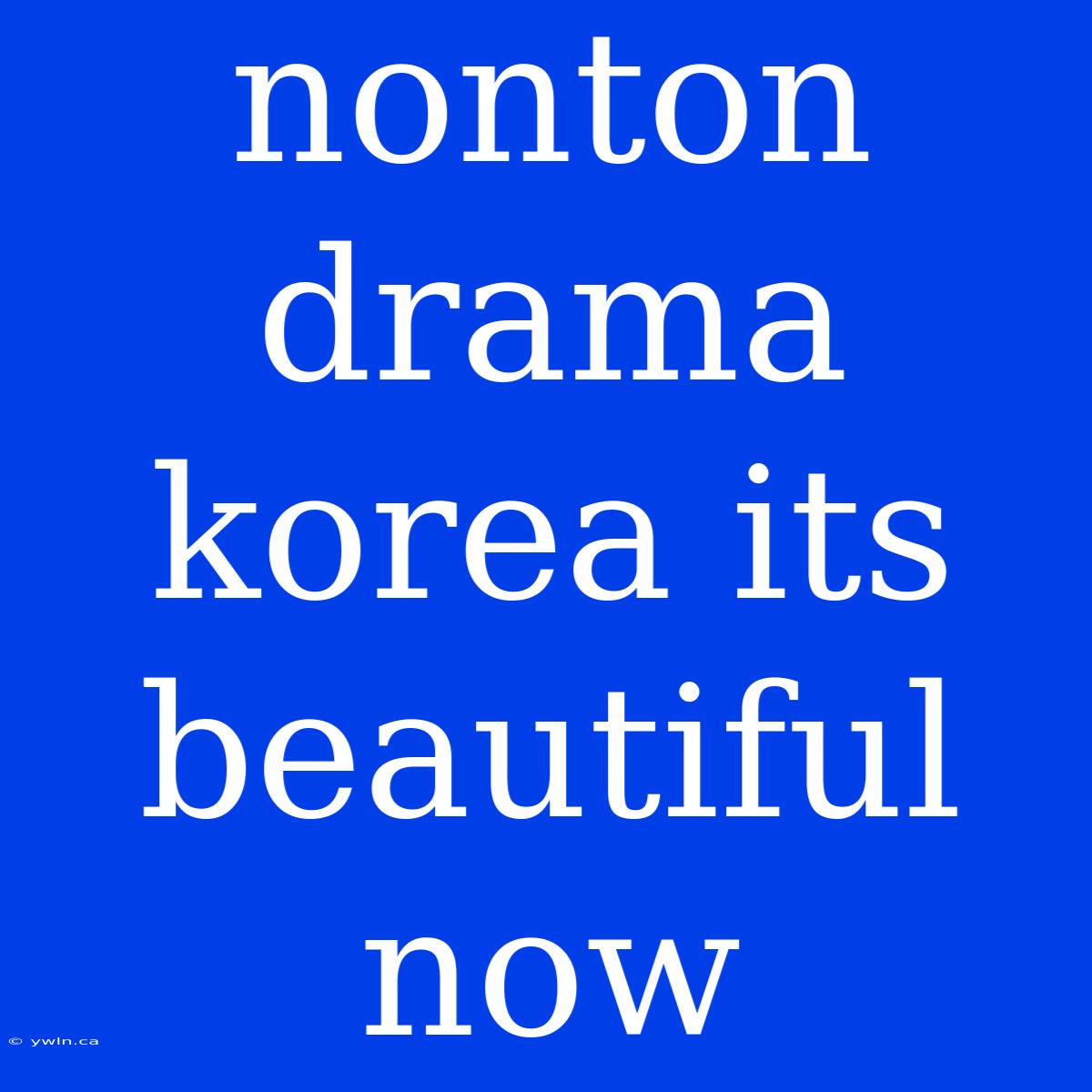 Nonton Drama Korea Its Beautiful Now