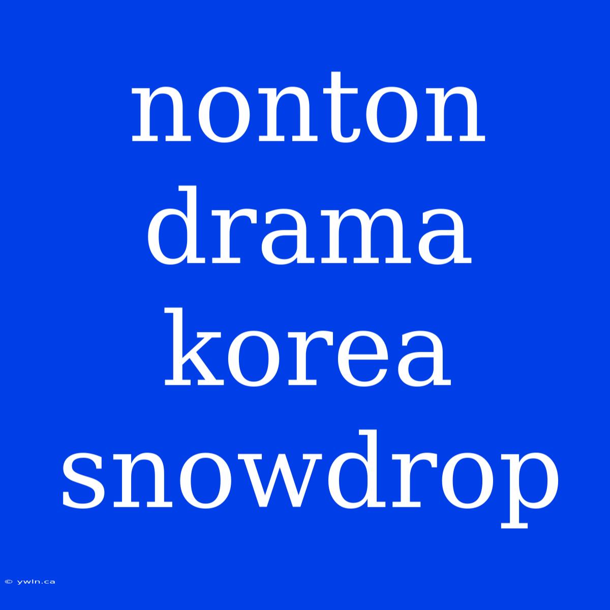 Nonton Drama Korea Snowdrop