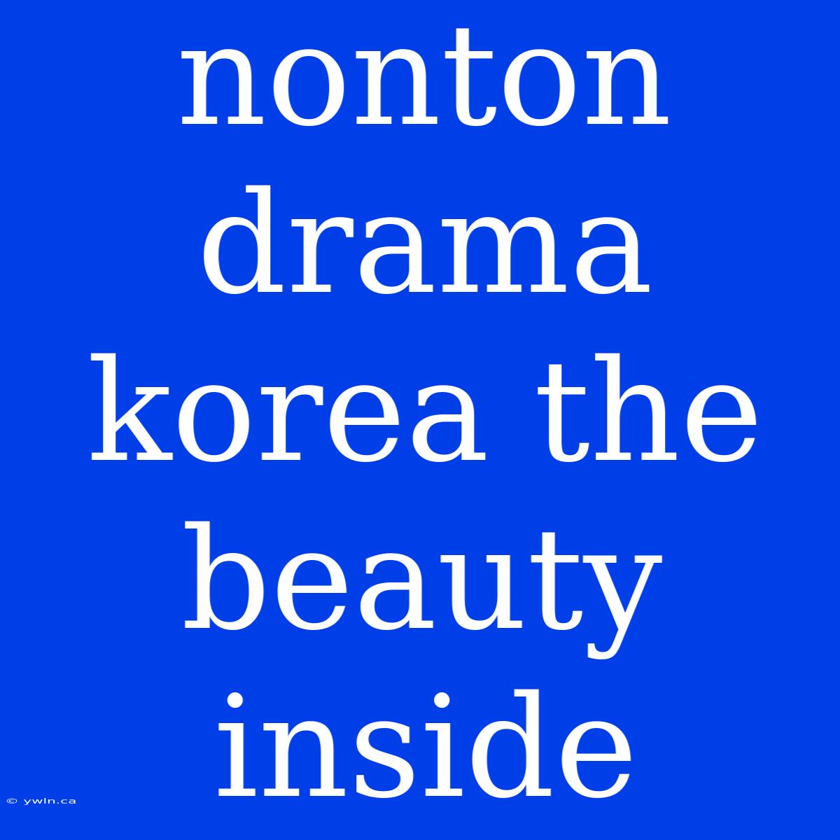 Nonton Drama Korea The Beauty Inside