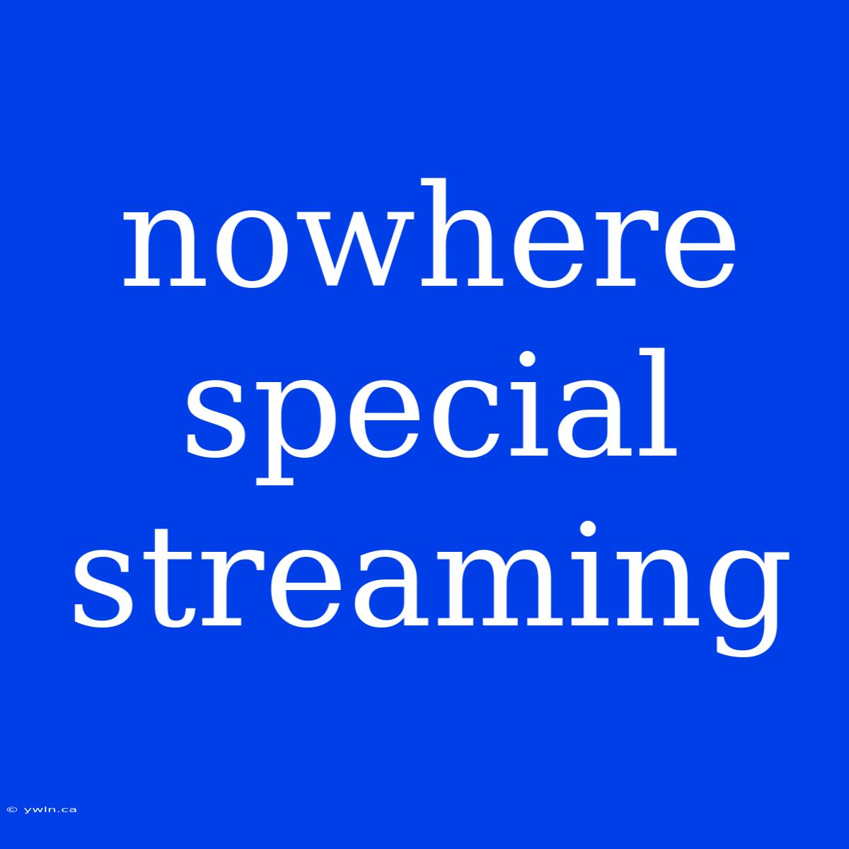 Nowhere Special Streaming