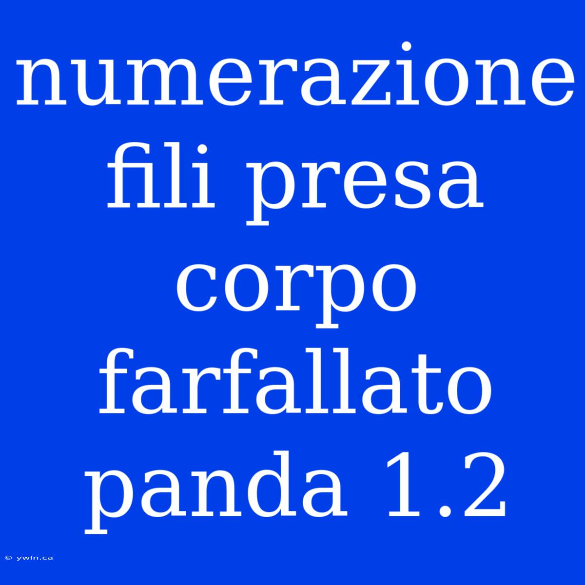 Numerazione Fili Presa Corpo Farfallato Panda 1.2