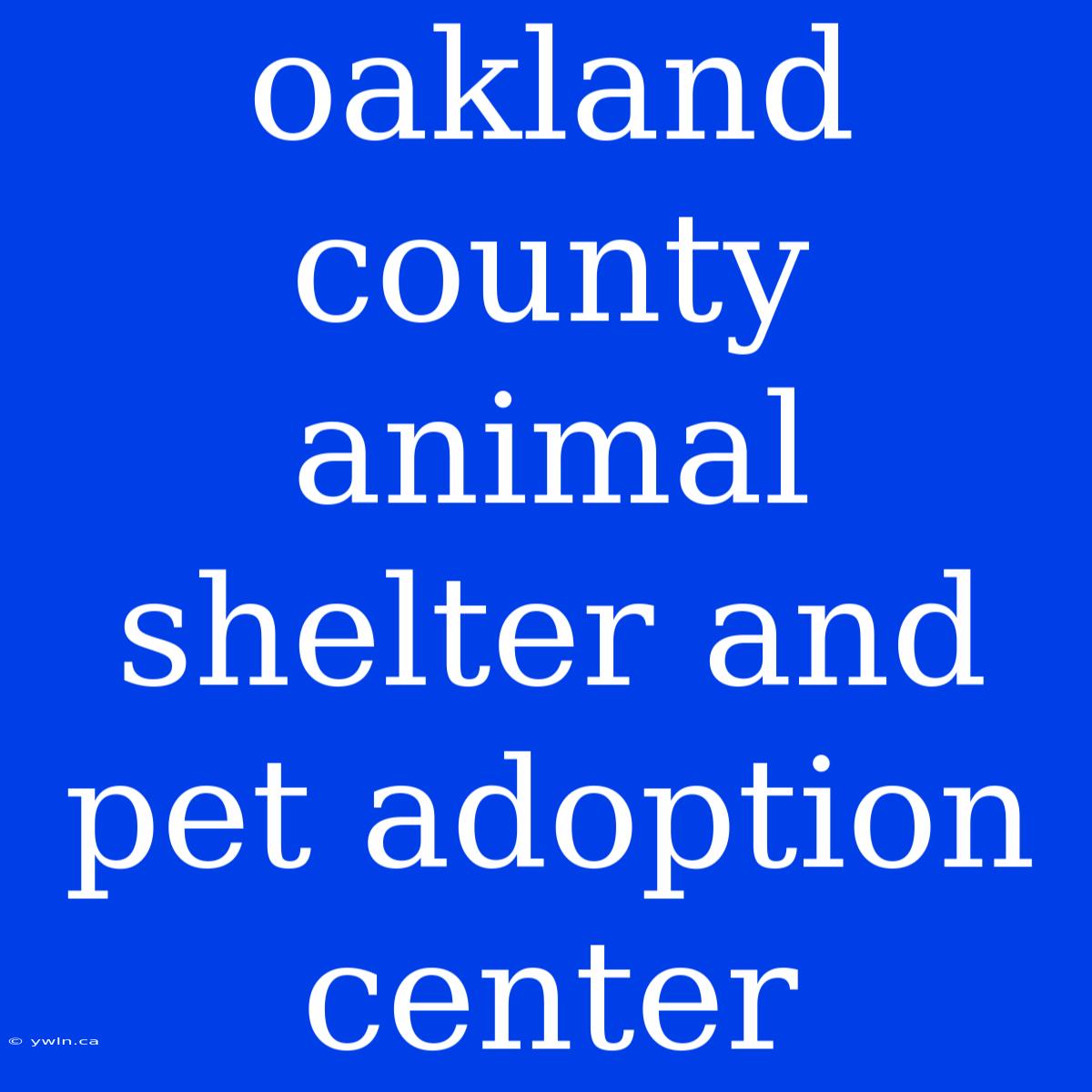 Oakland County Animal Shelter And Pet Adoption Center