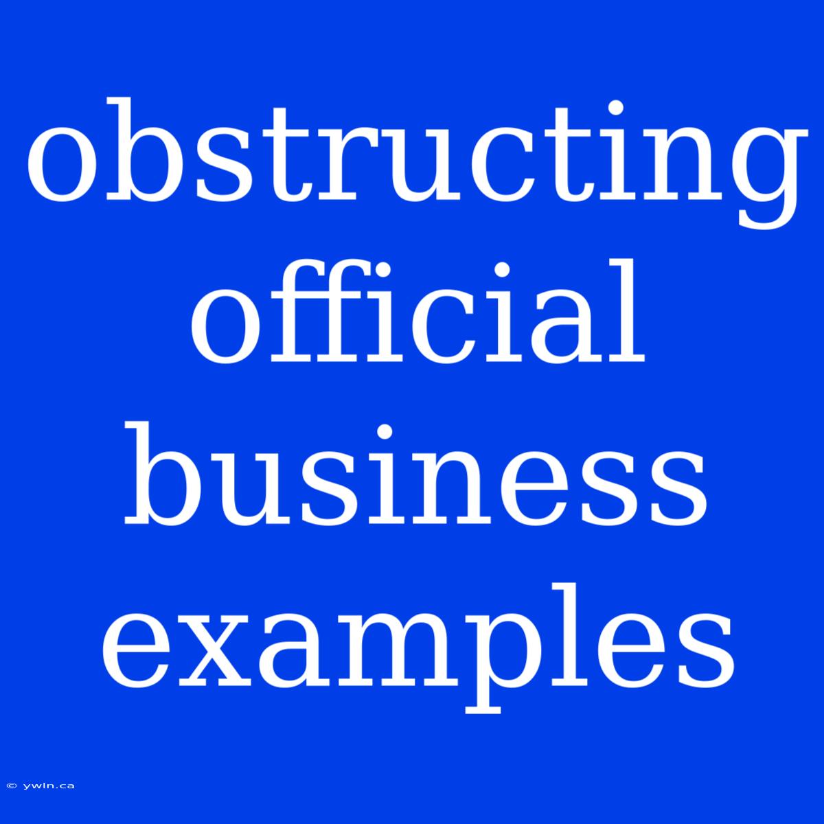 Obstructing Official Business Examples