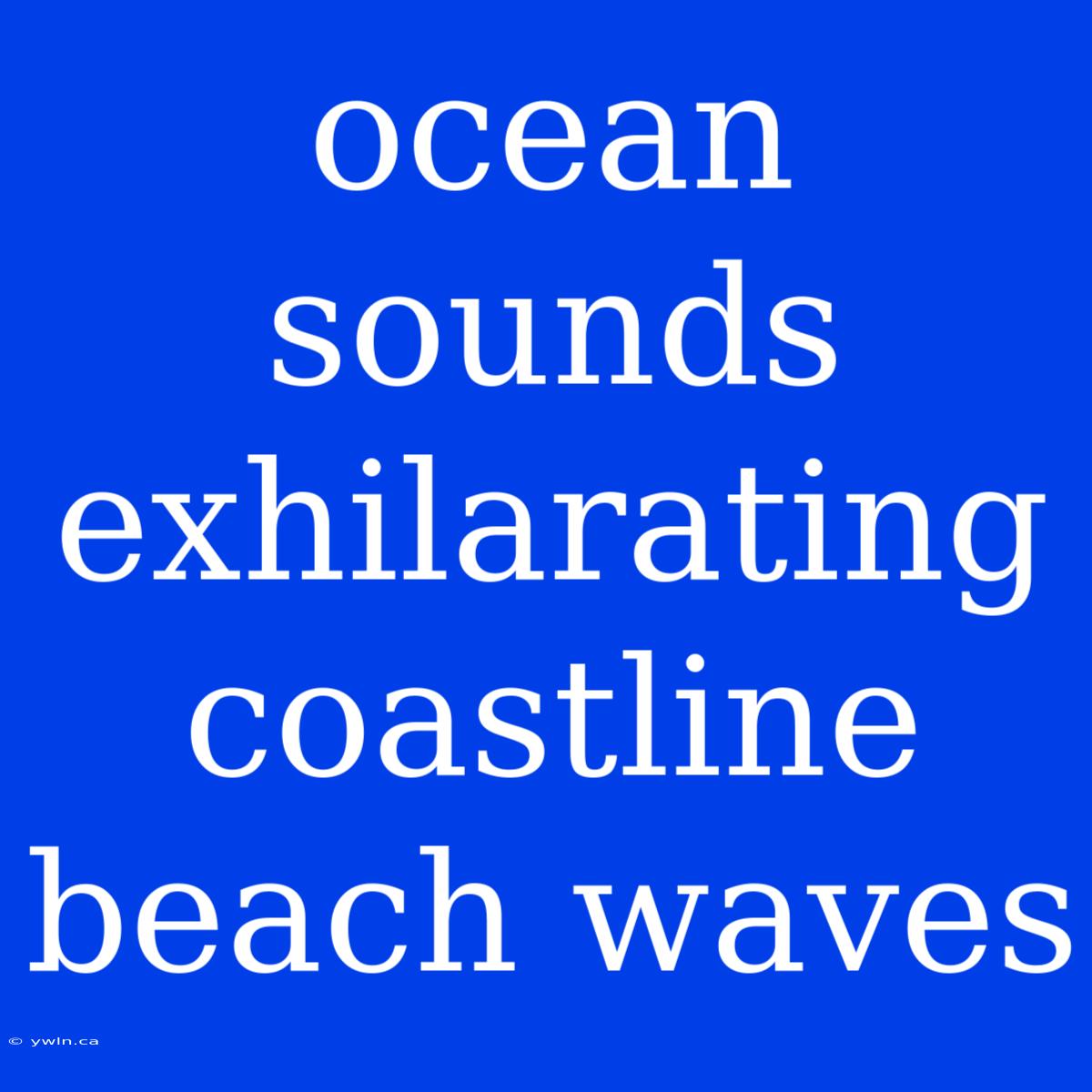 Ocean Sounds Exhilarating Coastline Beach Waves