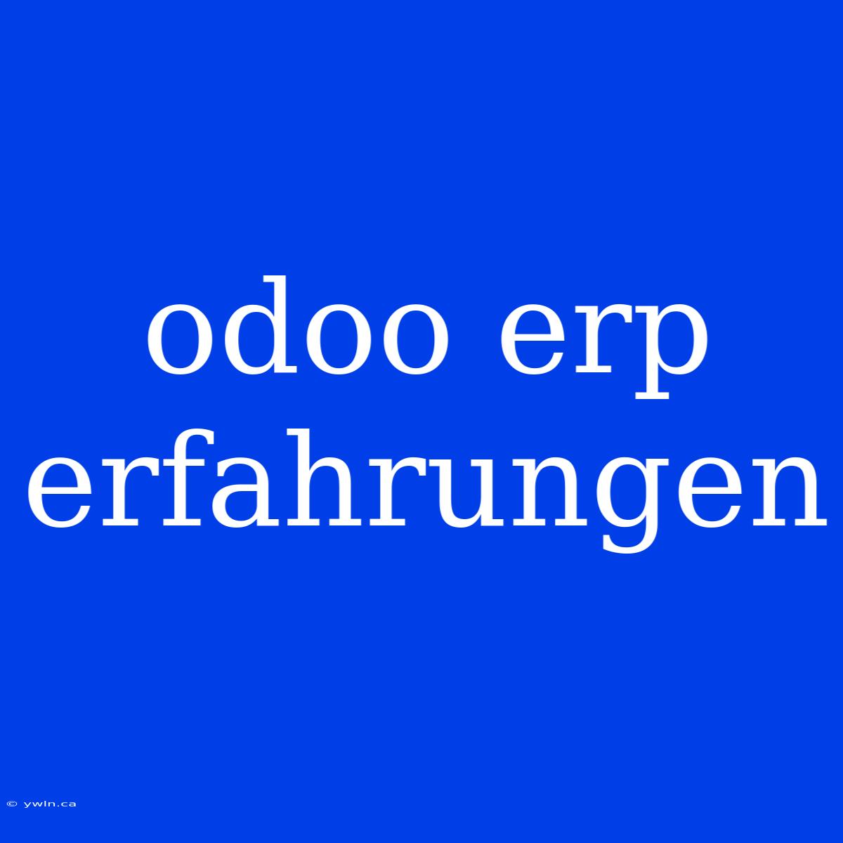 Odoo Erp Erfahrungen