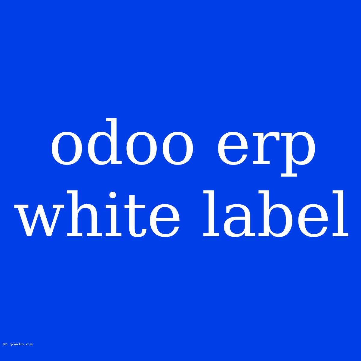 Odoo Erp White Label