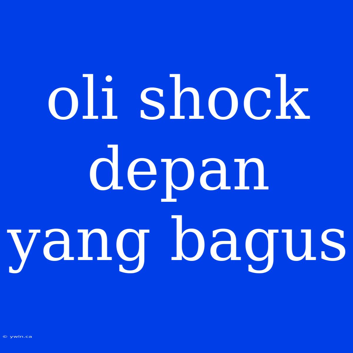 Oli Shock Depan Yang Bagus