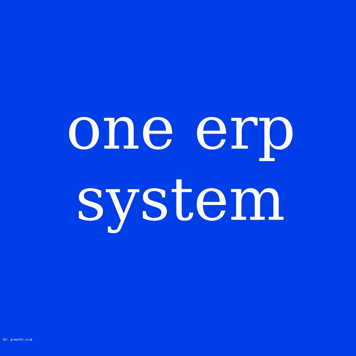 One Erp System