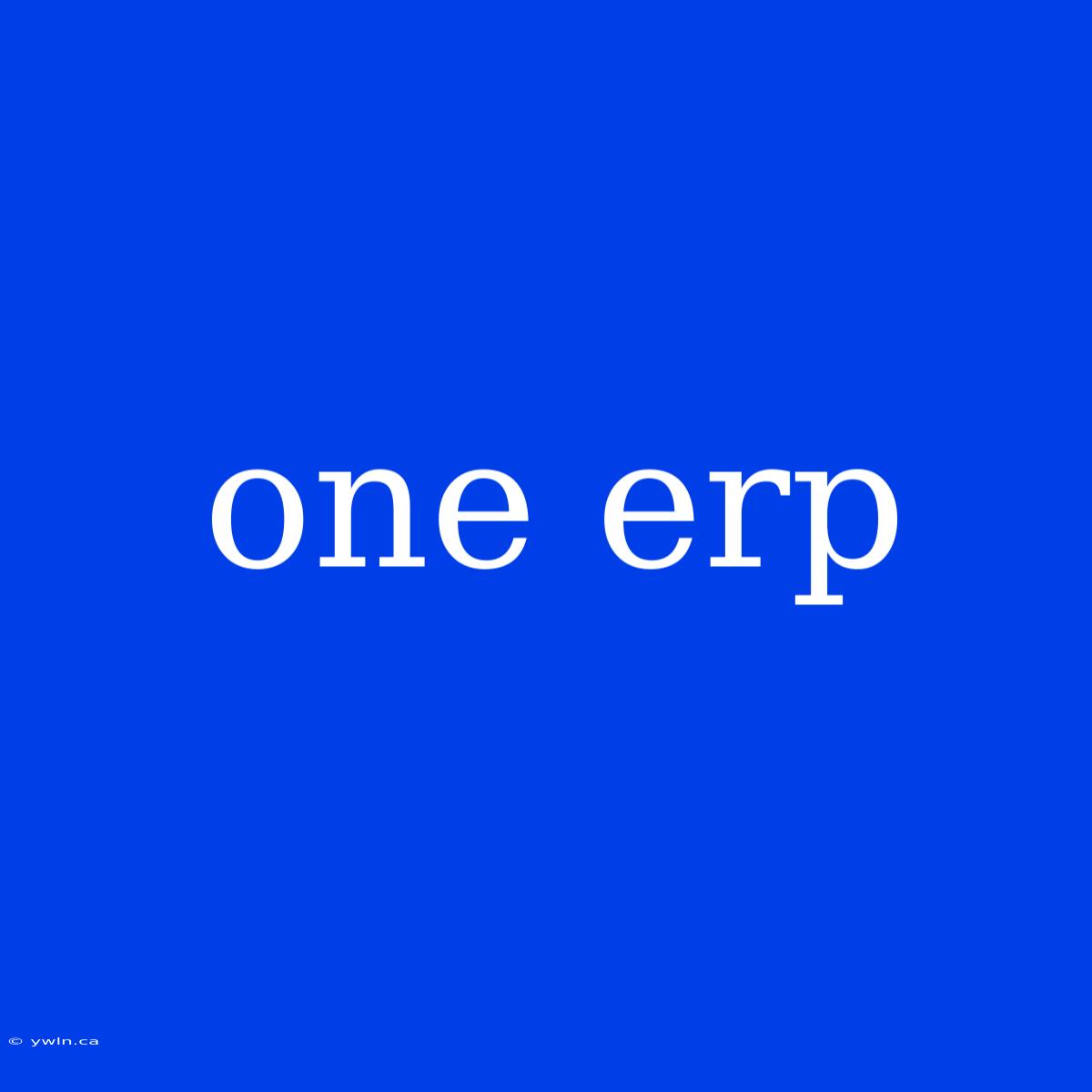 One Erp