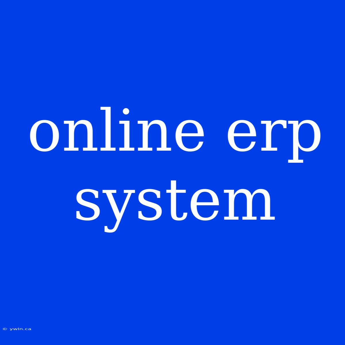 Online Erp System