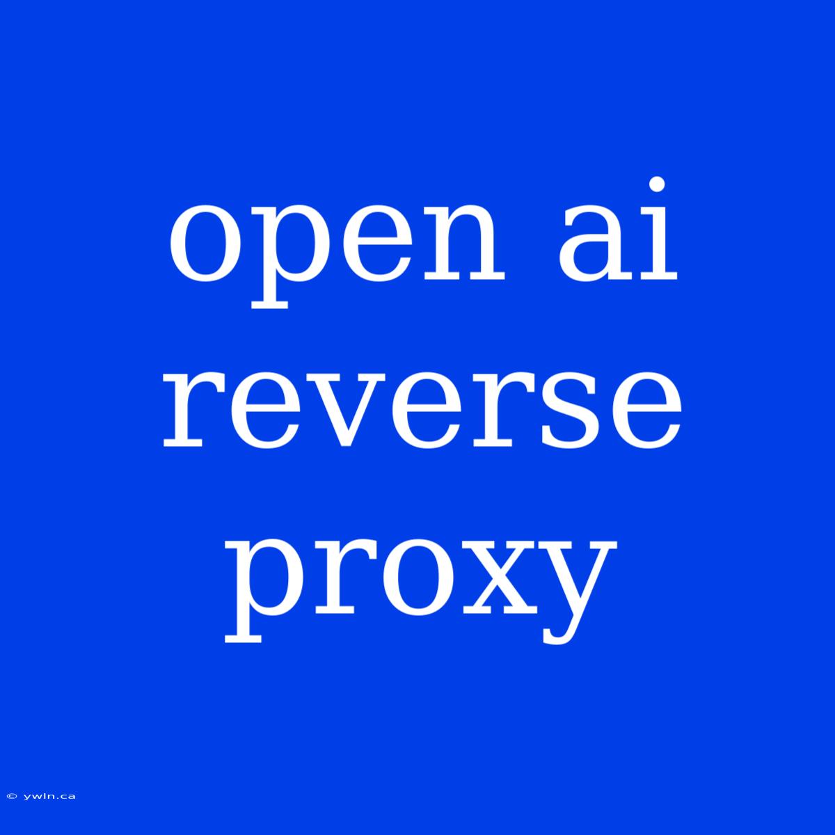 Open Ai Reverse Proxy