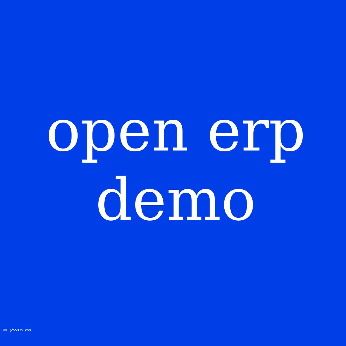 Open Erp Demo