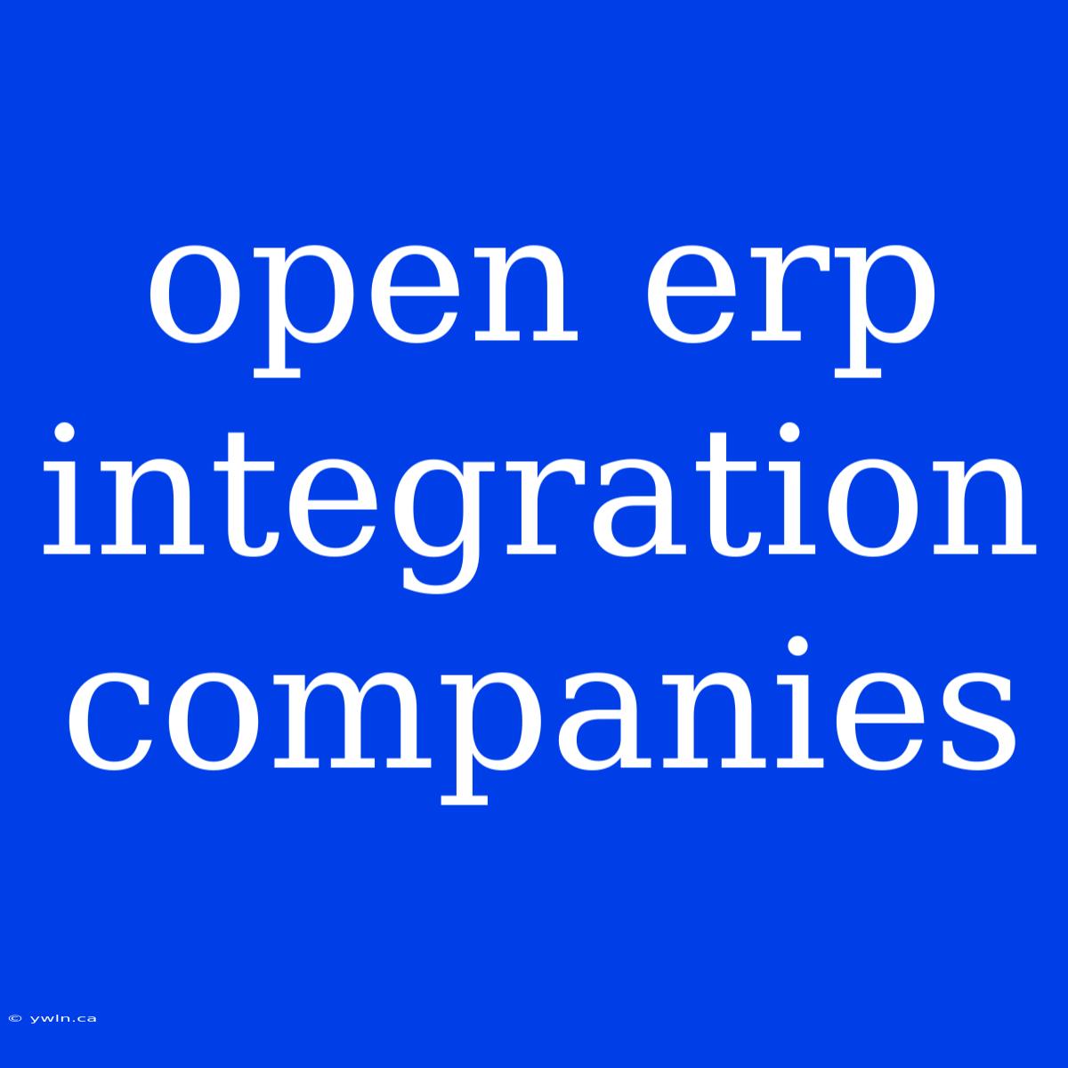 Open Erp Integration Companies