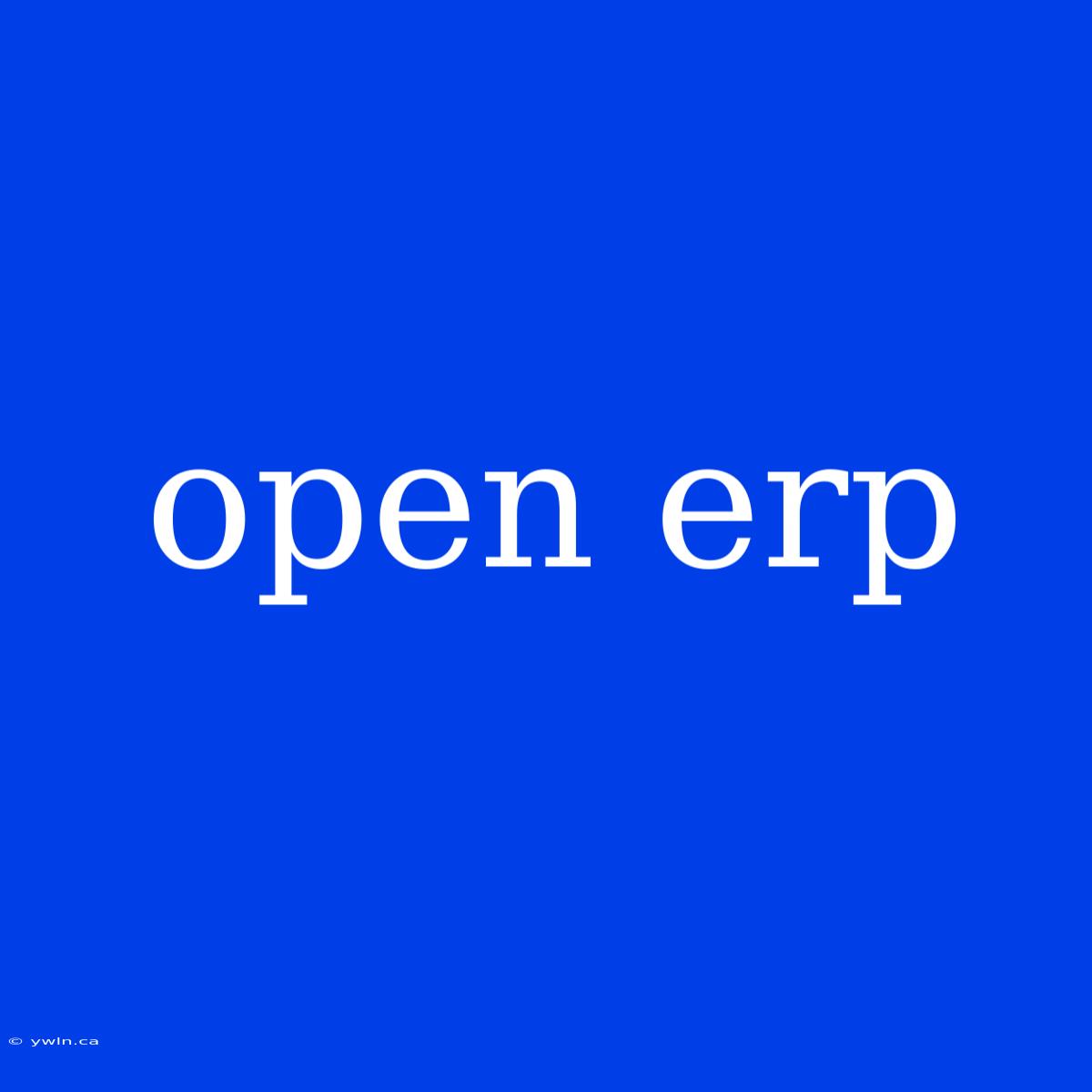 Open Erp