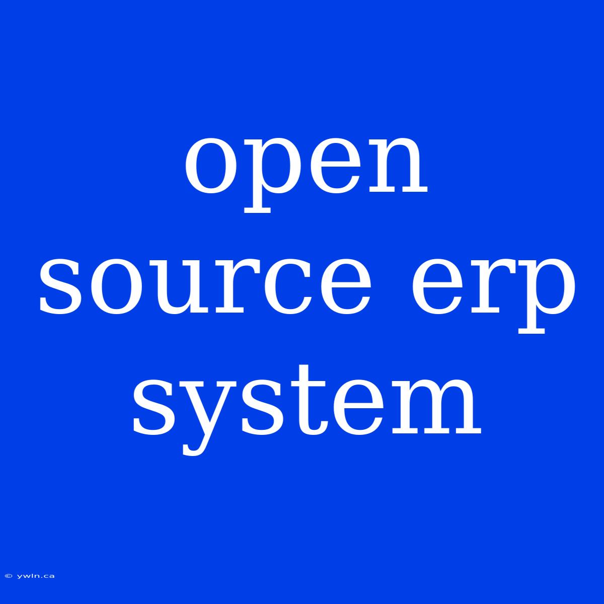 Open Source Erp System