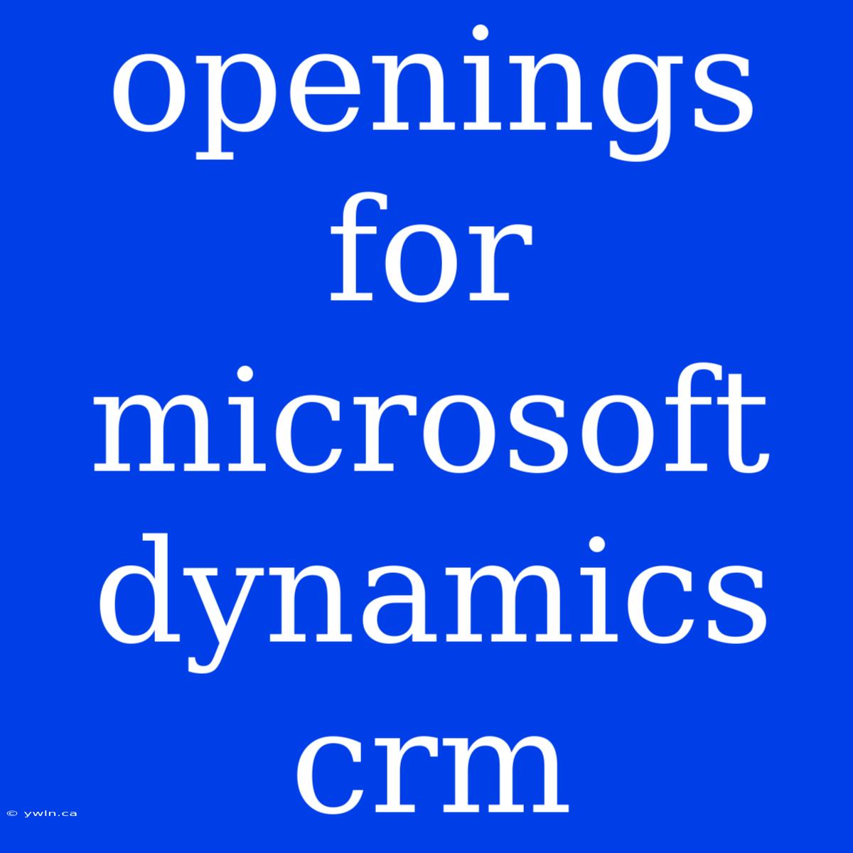 Openings For Microsoft Dynamics Crm