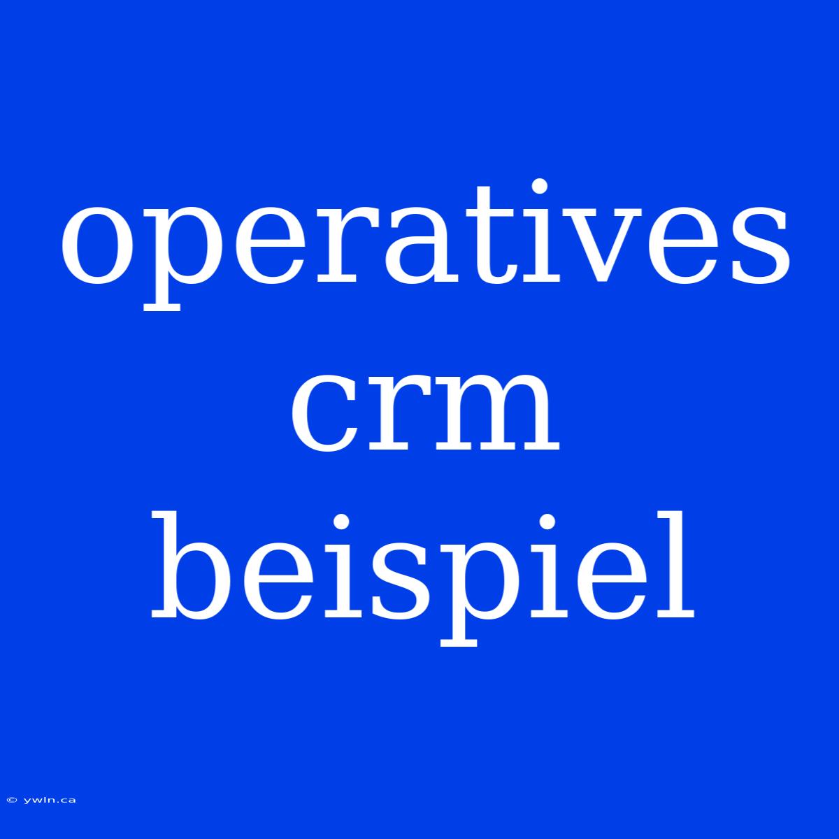 Operatives Crm Beispiel