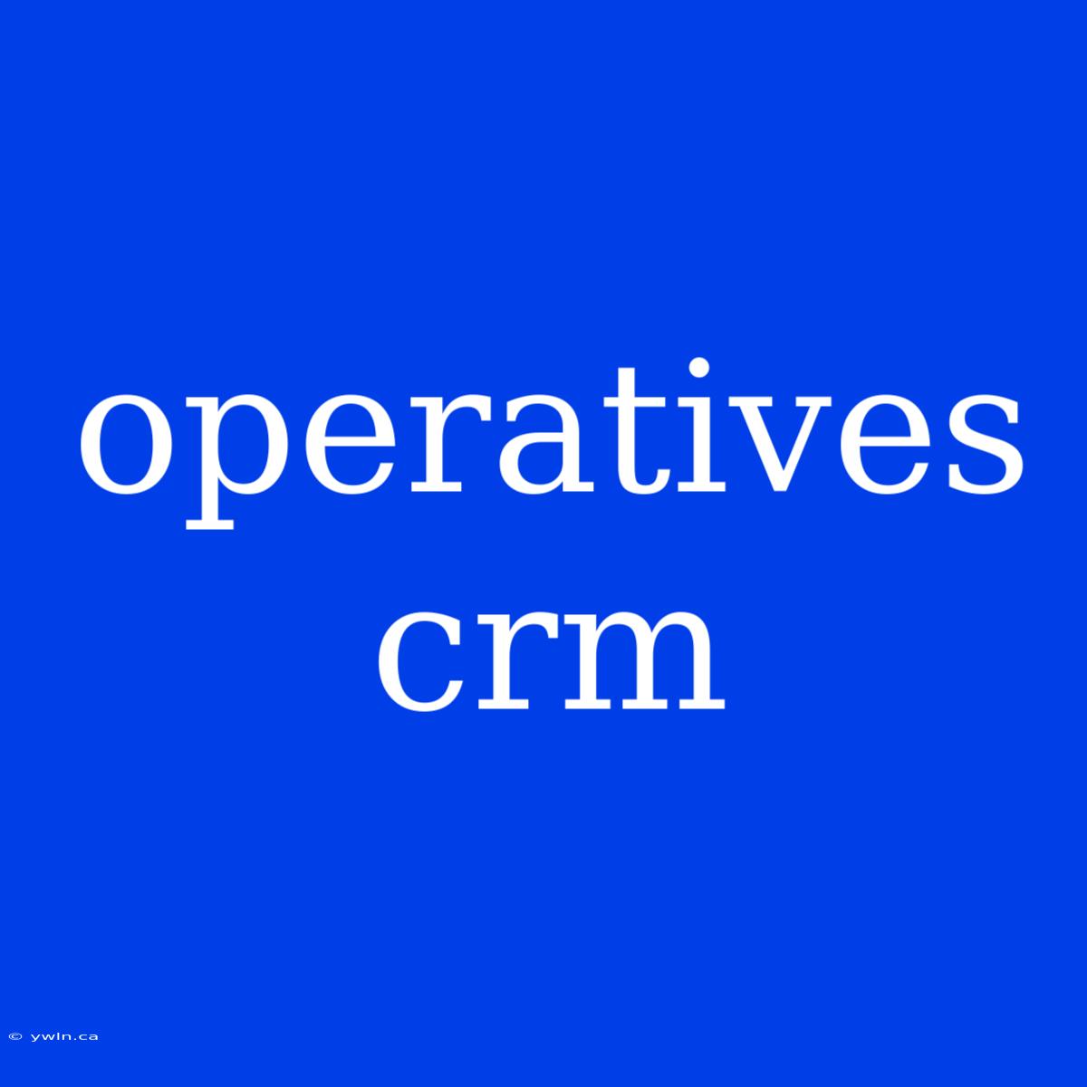 Operatives Crm