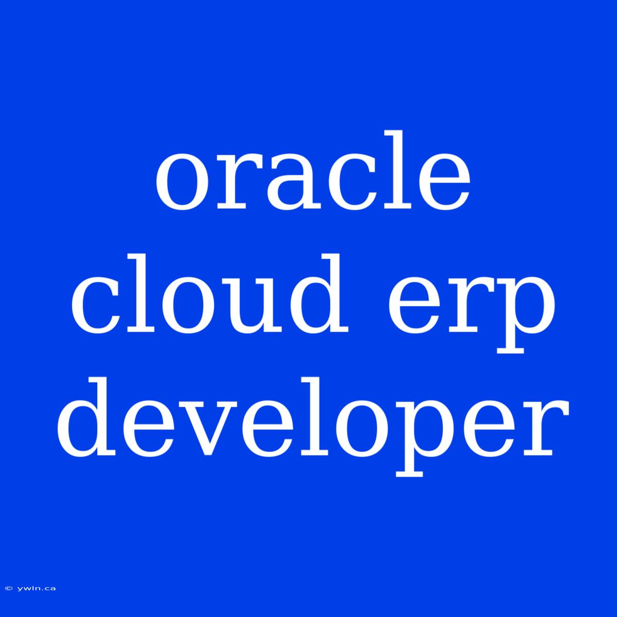 Oracle Cloud Erp Developer