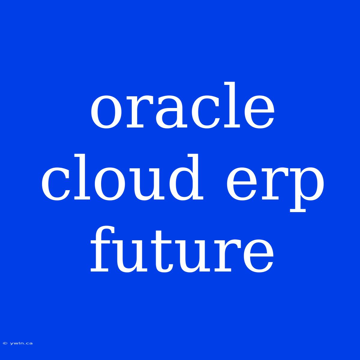 Oracle Cloud Erp Future