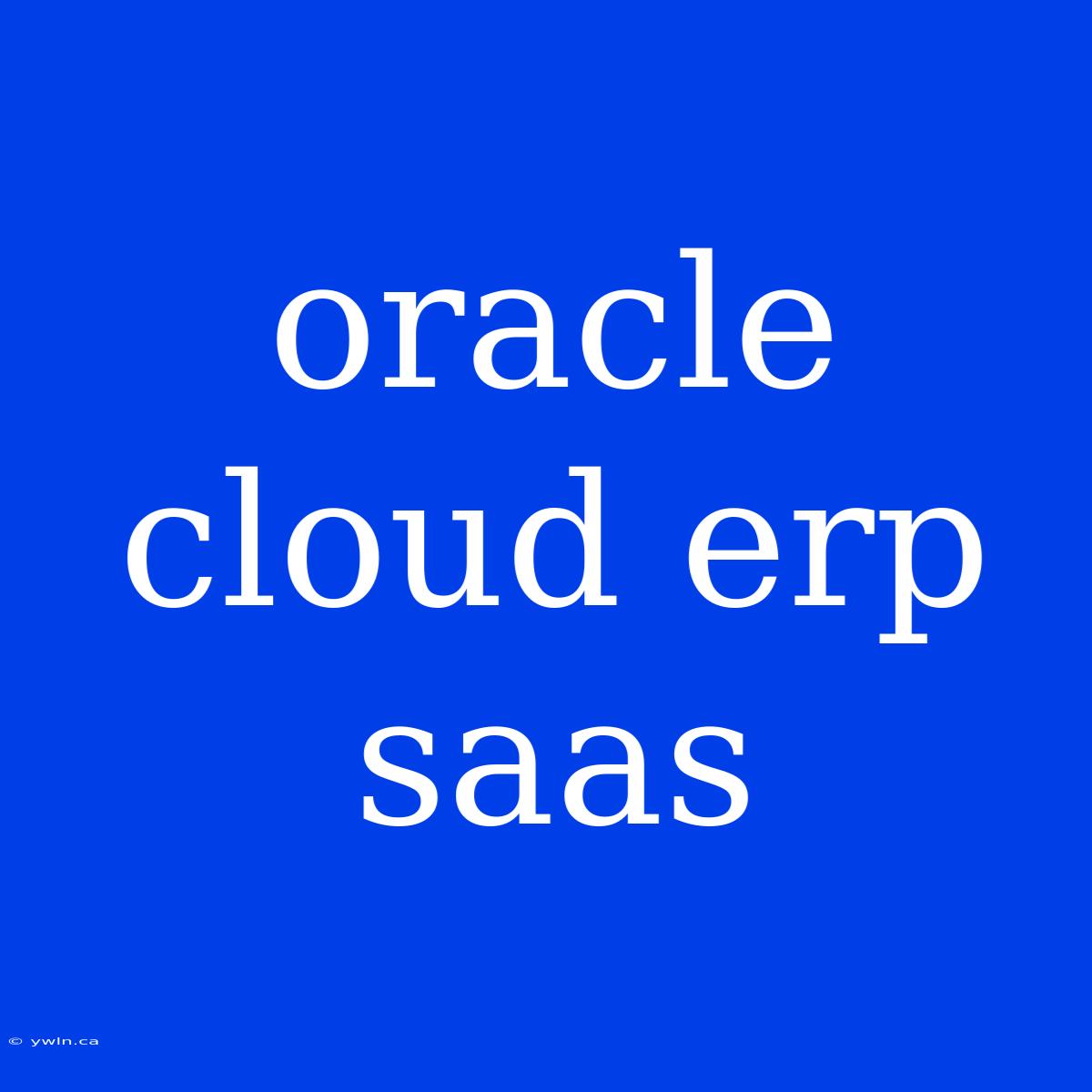 Oracle Cloud Erp Saas