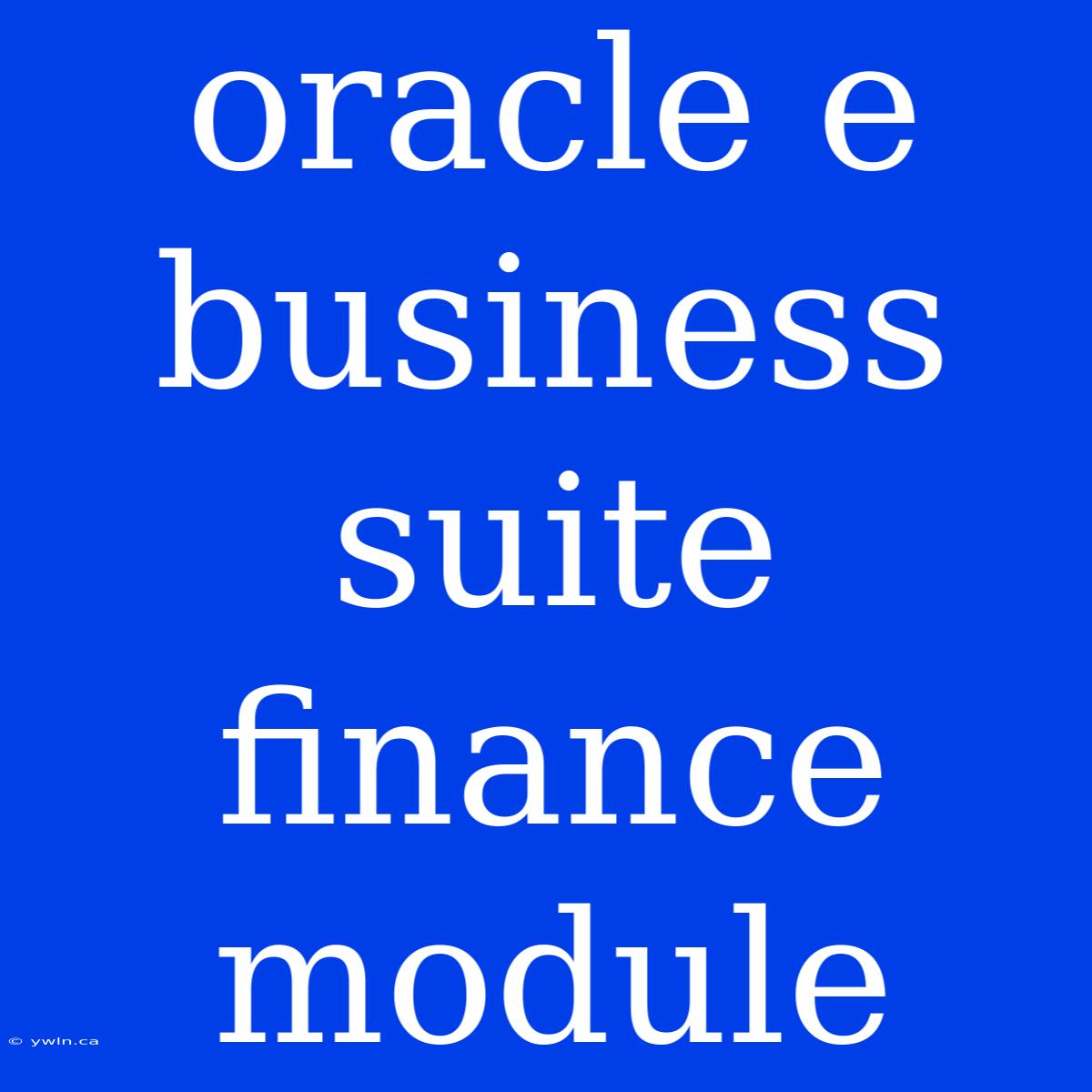 Oracle E Business Suite Finance Module