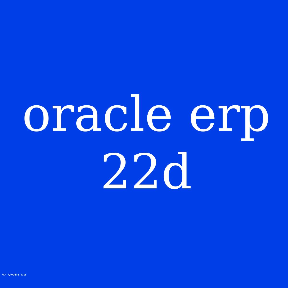 Oracle Erp 22d