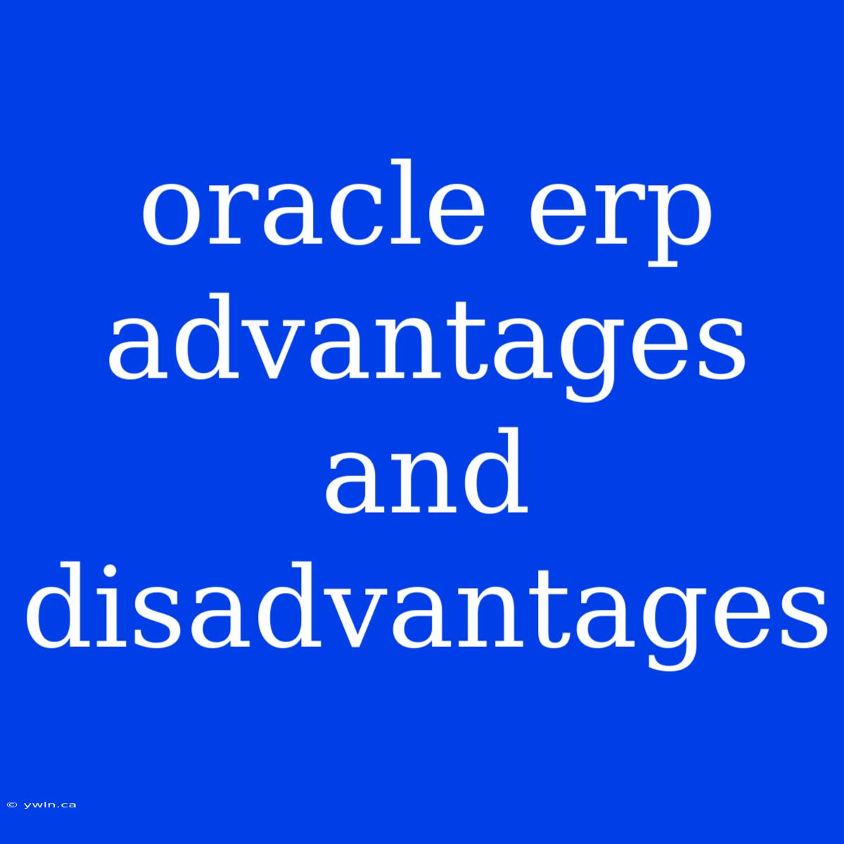 Oracle Erp Advantages And Disadvantages