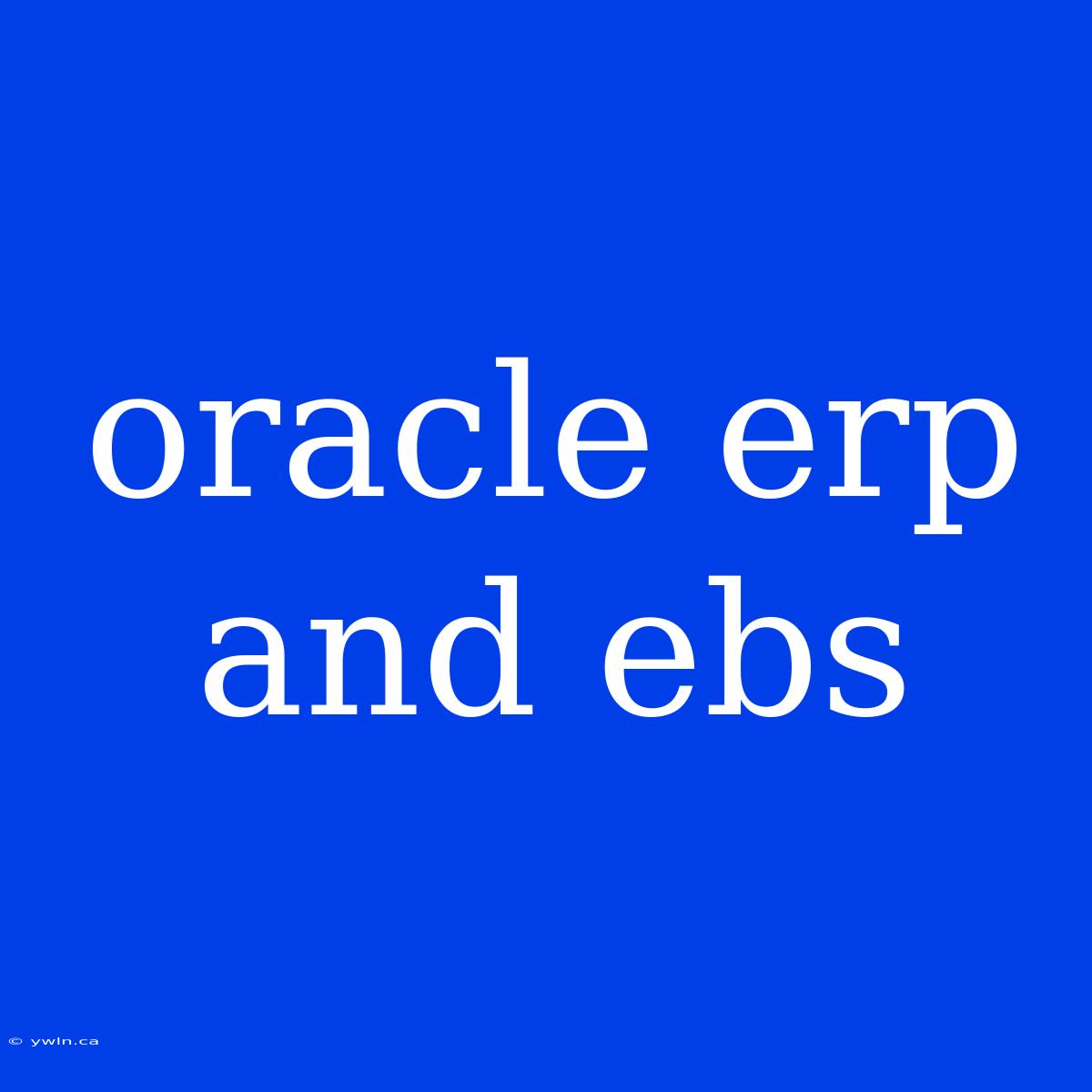 Oracle Erp And Ebs