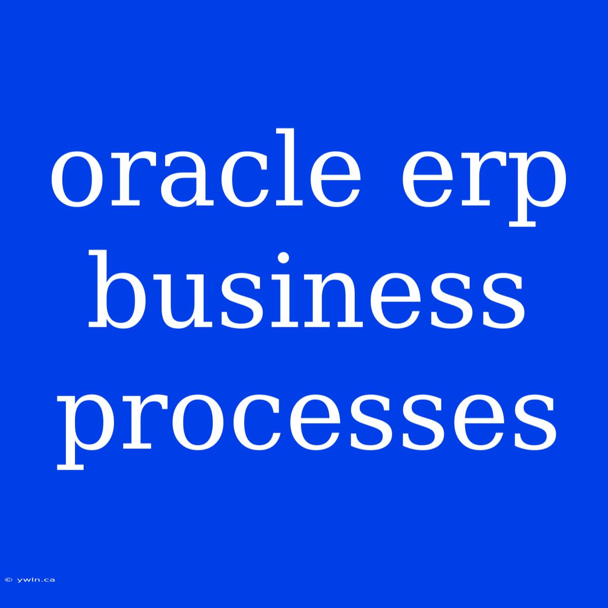 Oracle Erp Business Processes