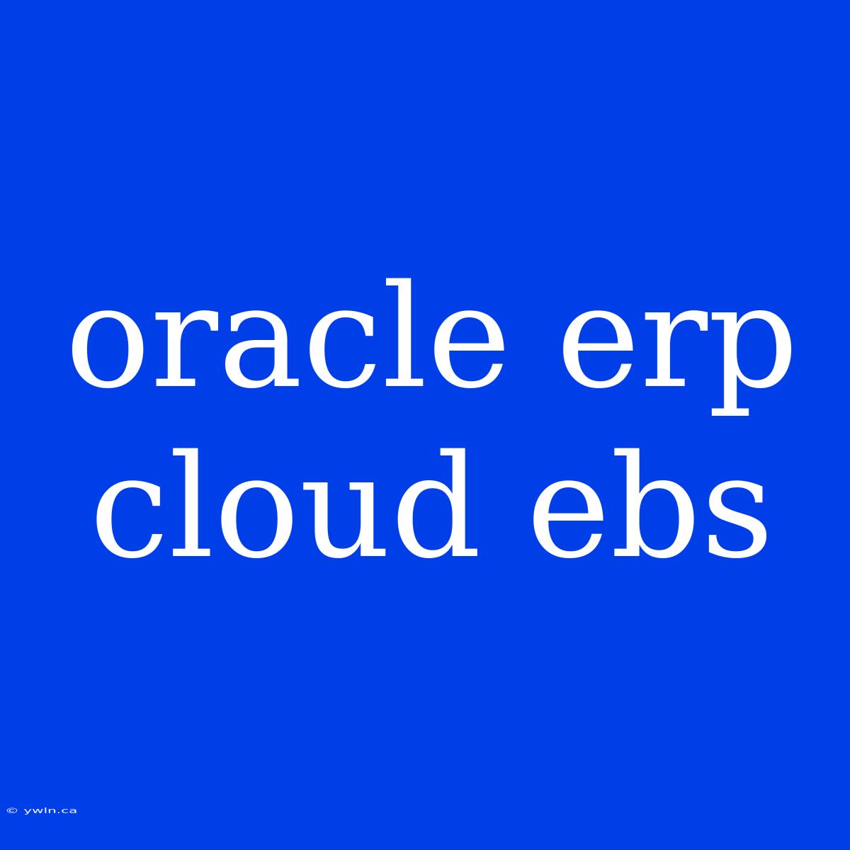 Oracle Erp Cloud Ebs