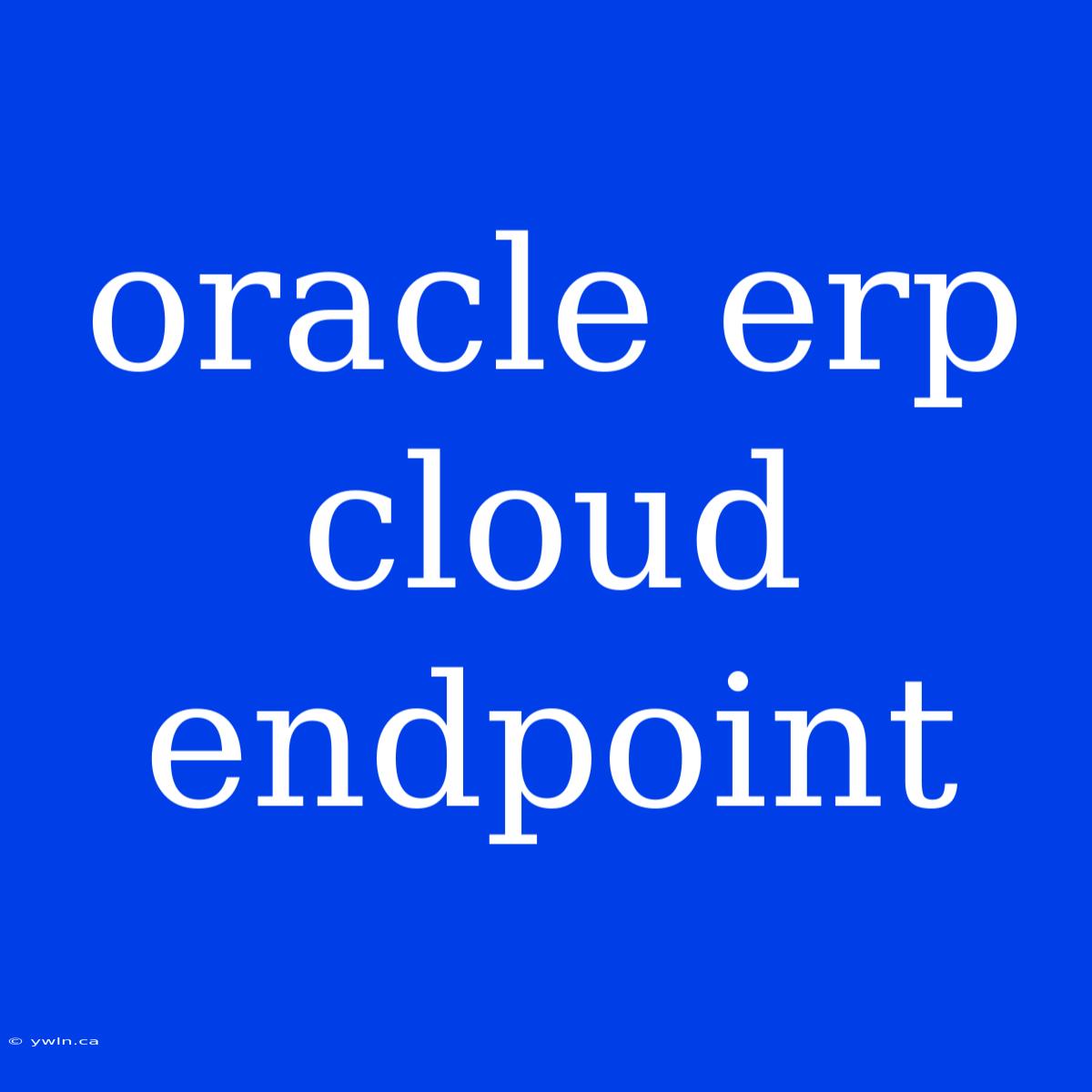 Oracle Erp Cloud Endpoint