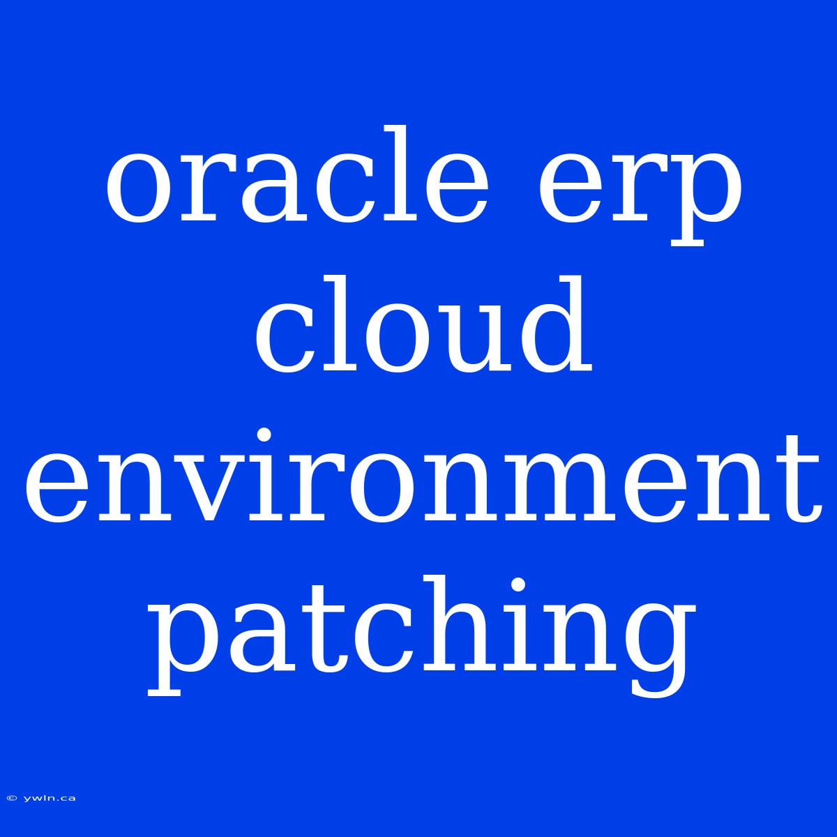 Oracle Erp Cloud Environment Patching