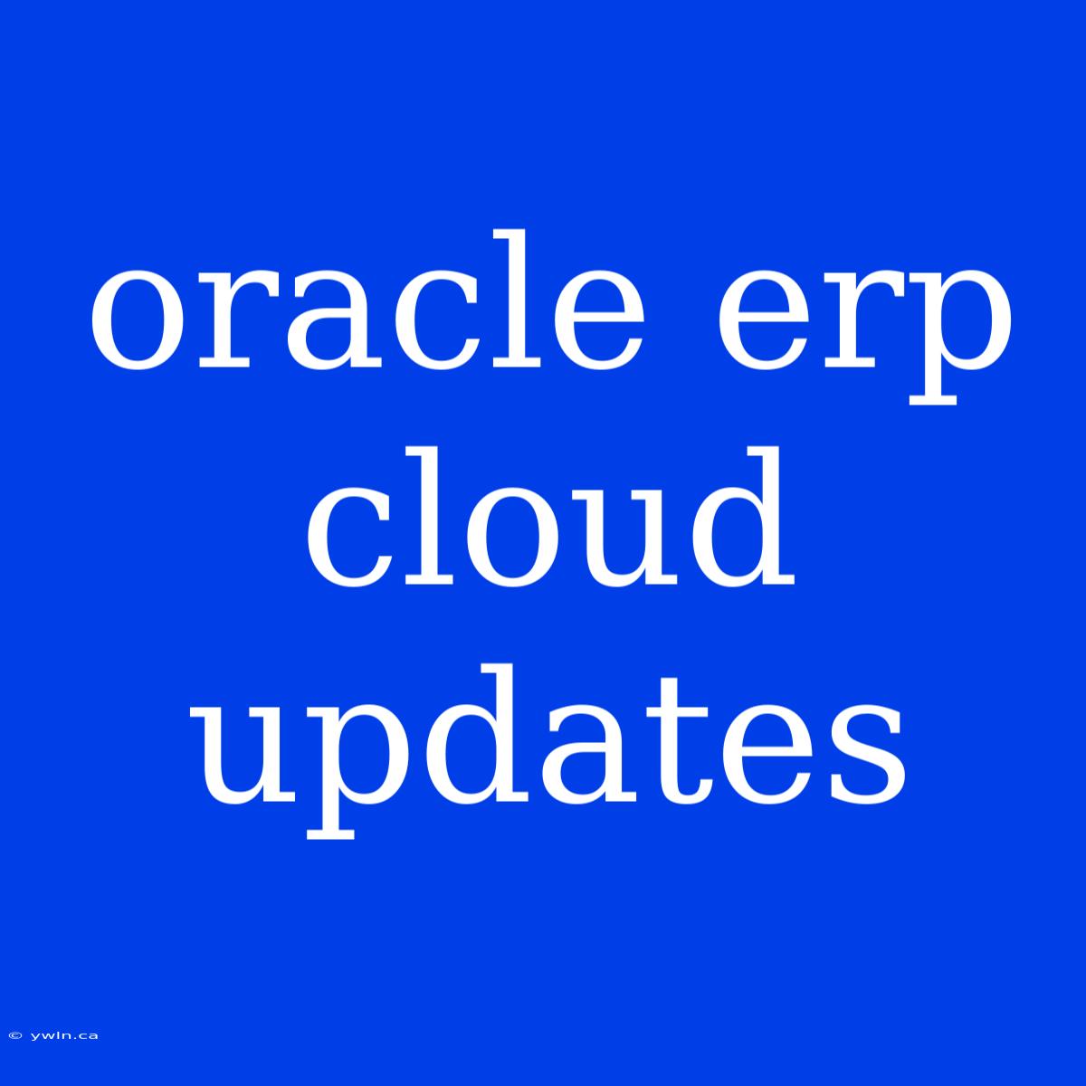 Oracle Erp Cloud Updates