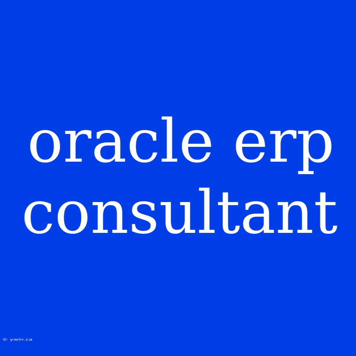 Oracle Erp Consultant