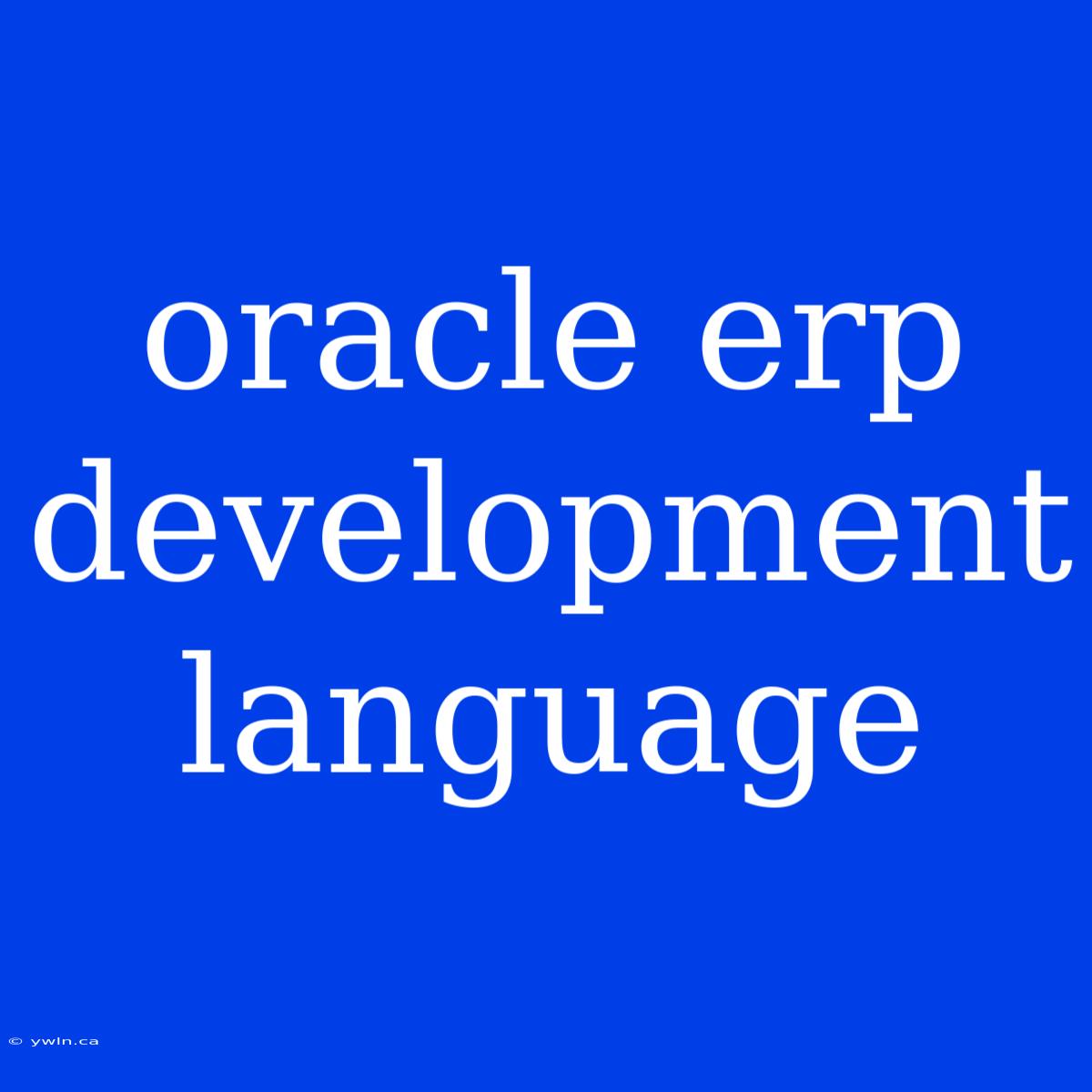 Oracle Erp Development Language