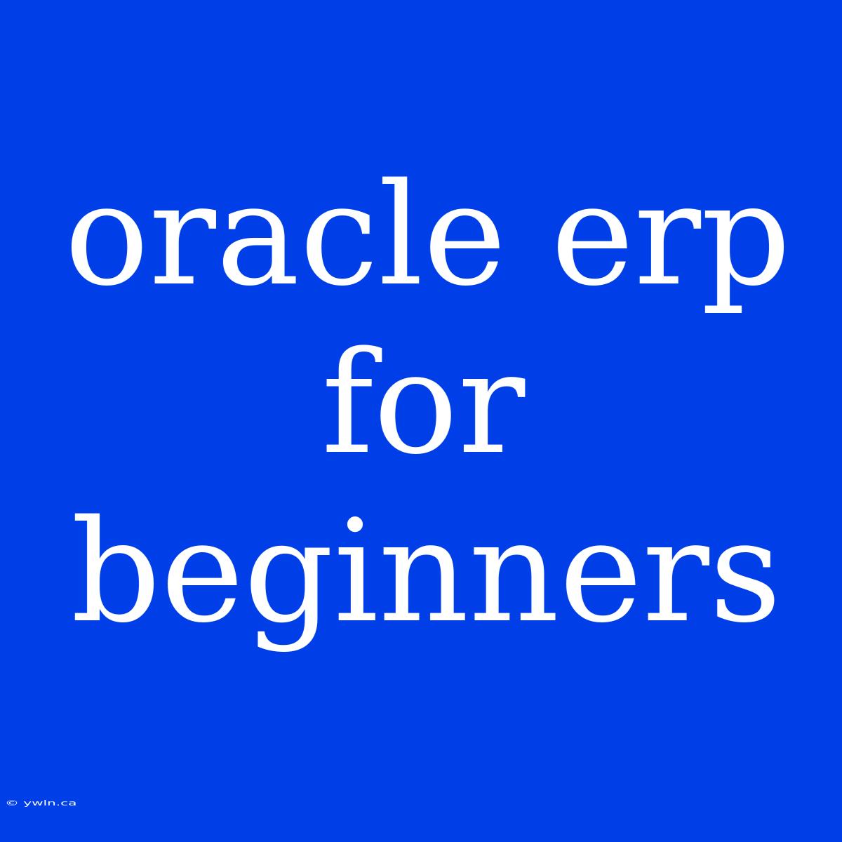 Oracle Erp For Beginners