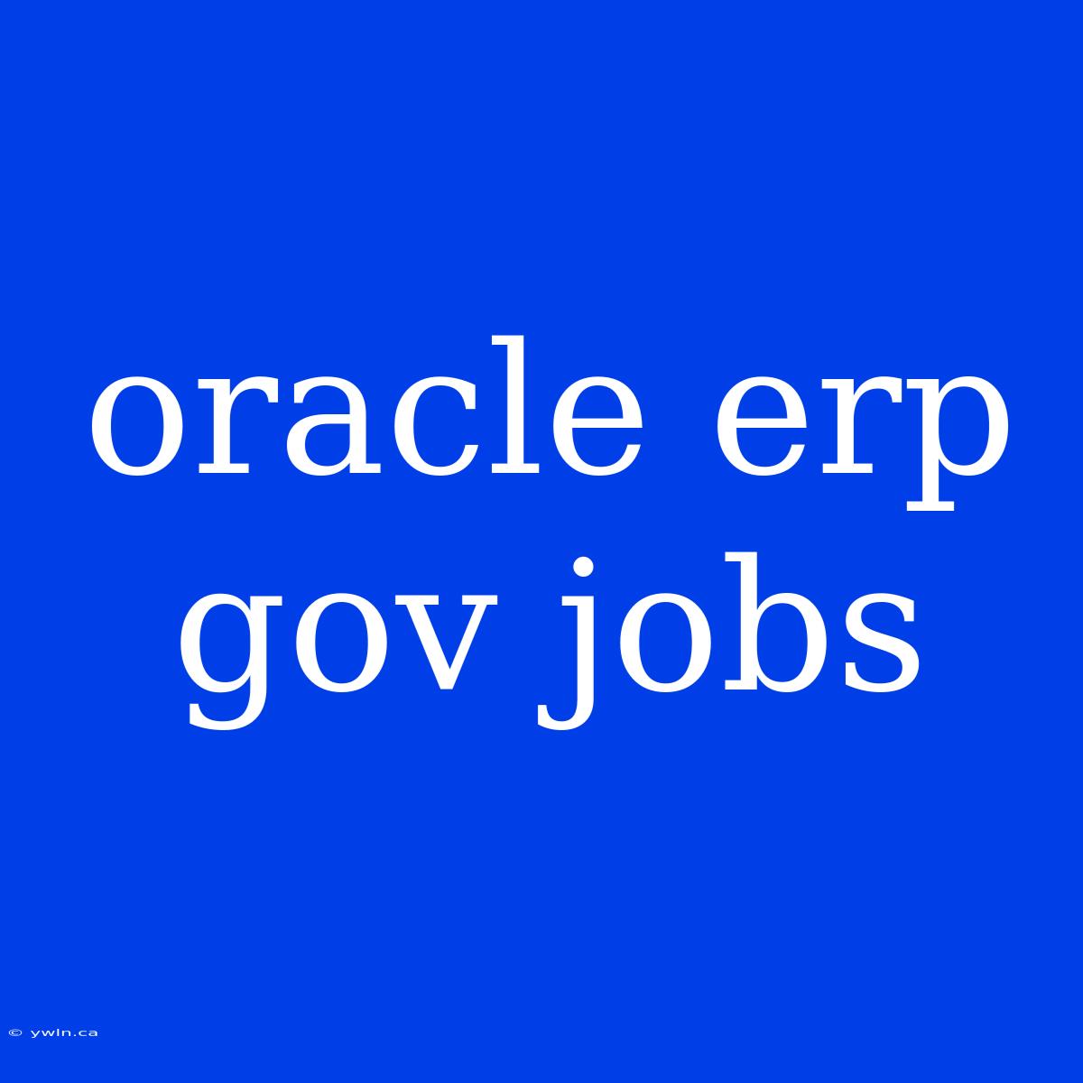 Oracle Erp Gov Jobs