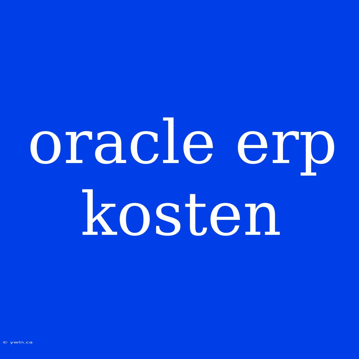 Oracle Erp Kosten