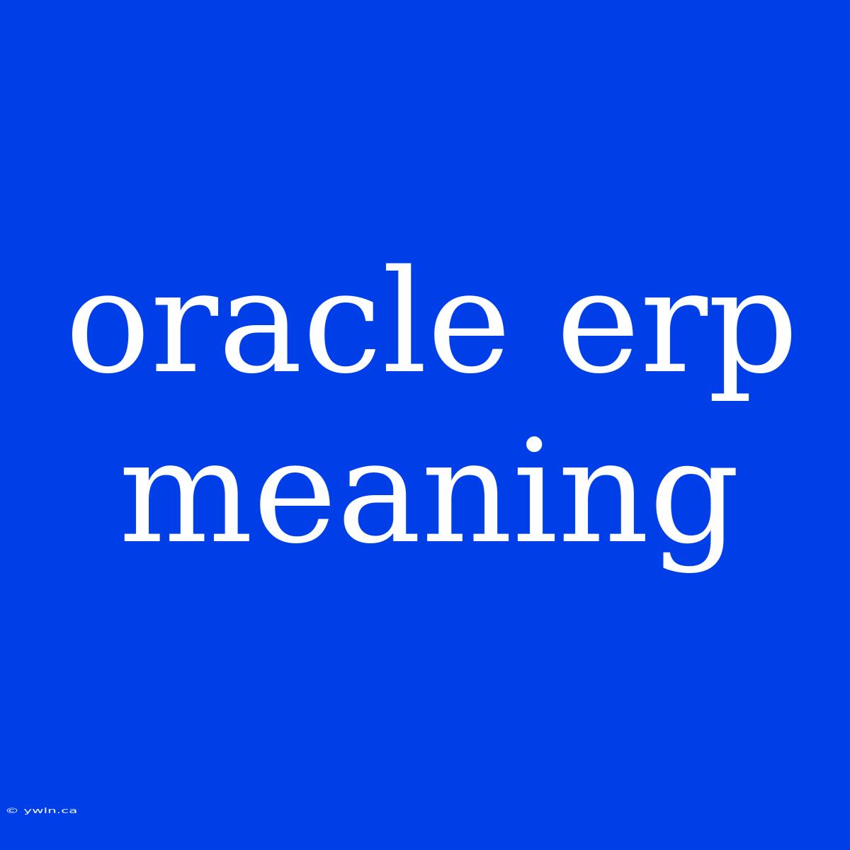 Oracle Erp Meaning