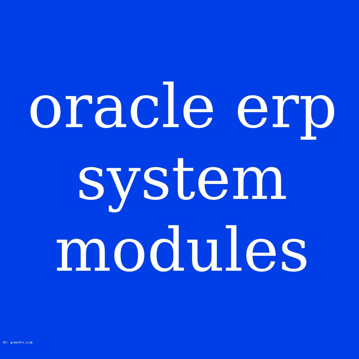 Oracle Erp System Modules