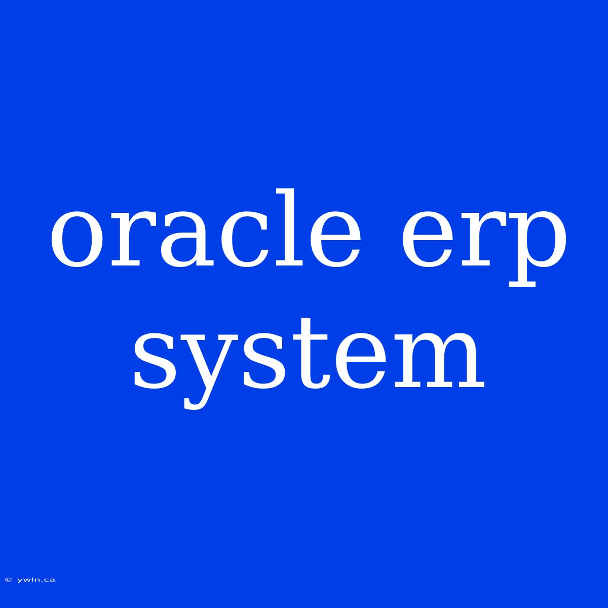 Oracle Erp System