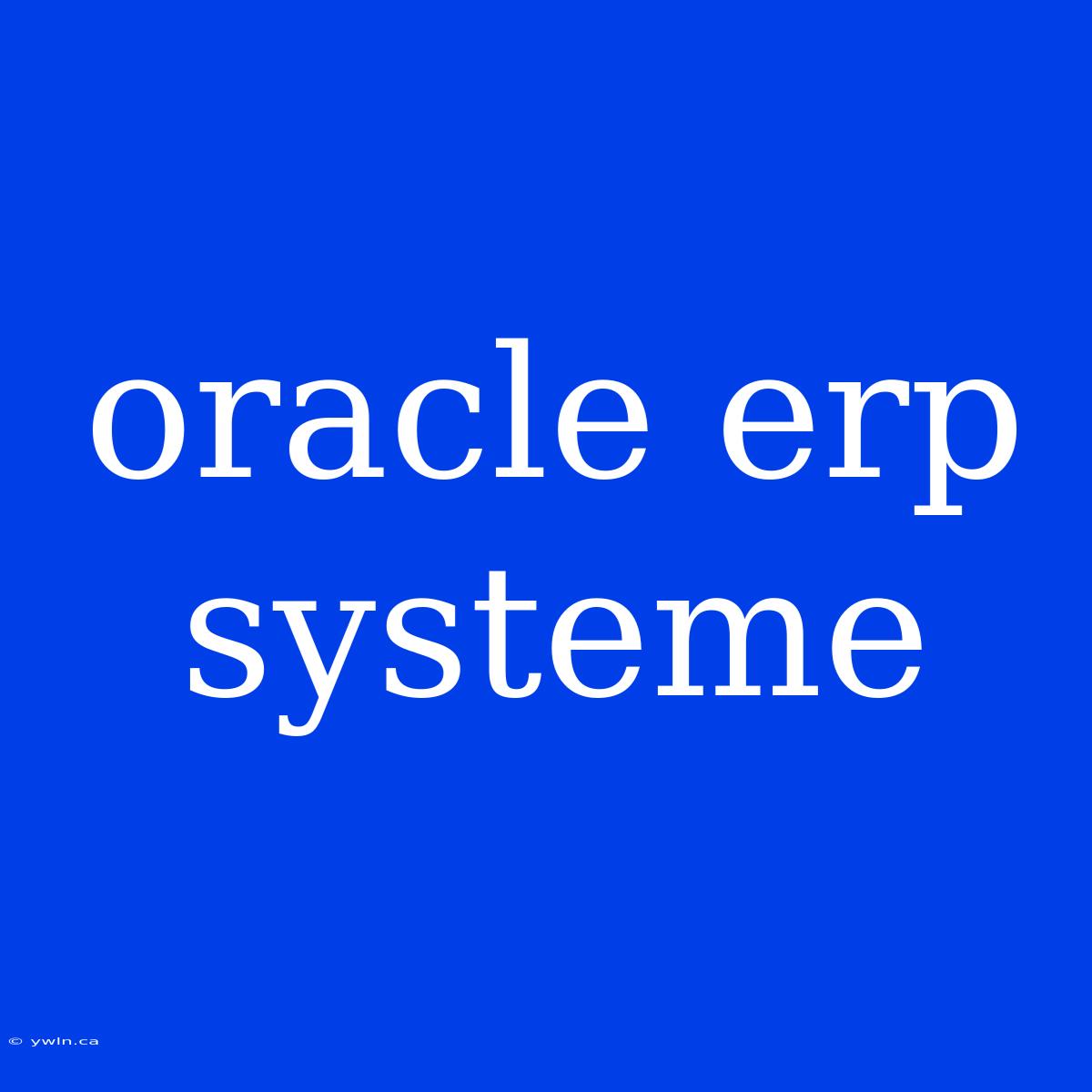 Oracle Erp Systeme