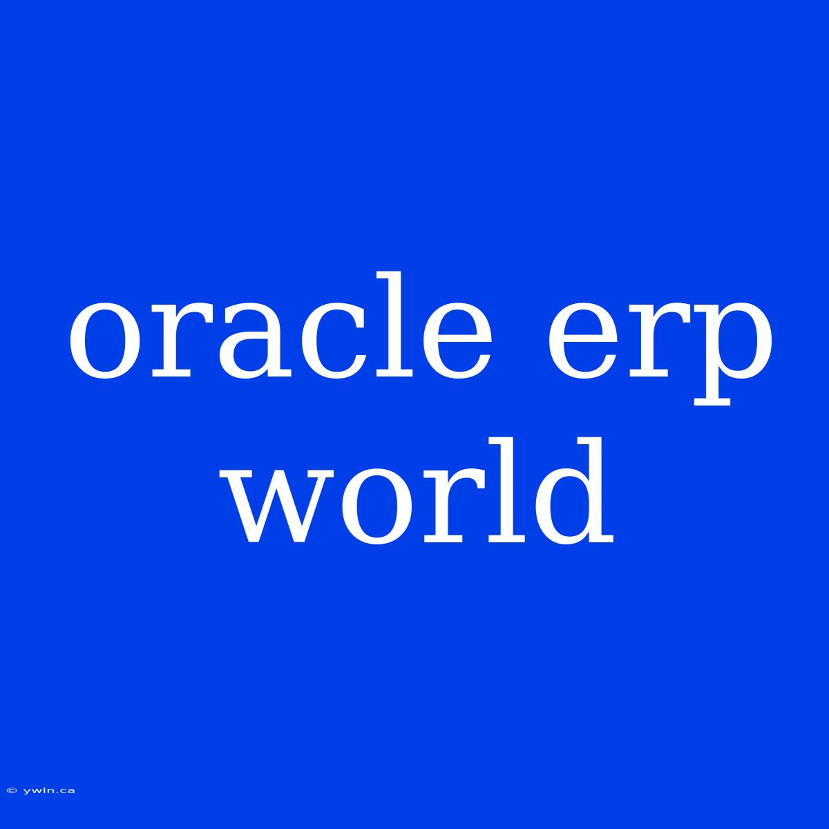 Oracle Erp World