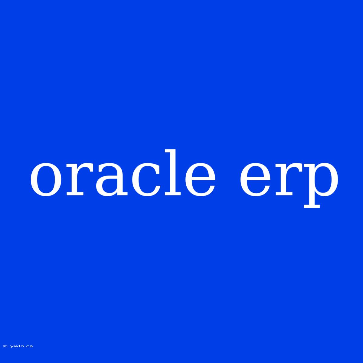 Oracle Erp