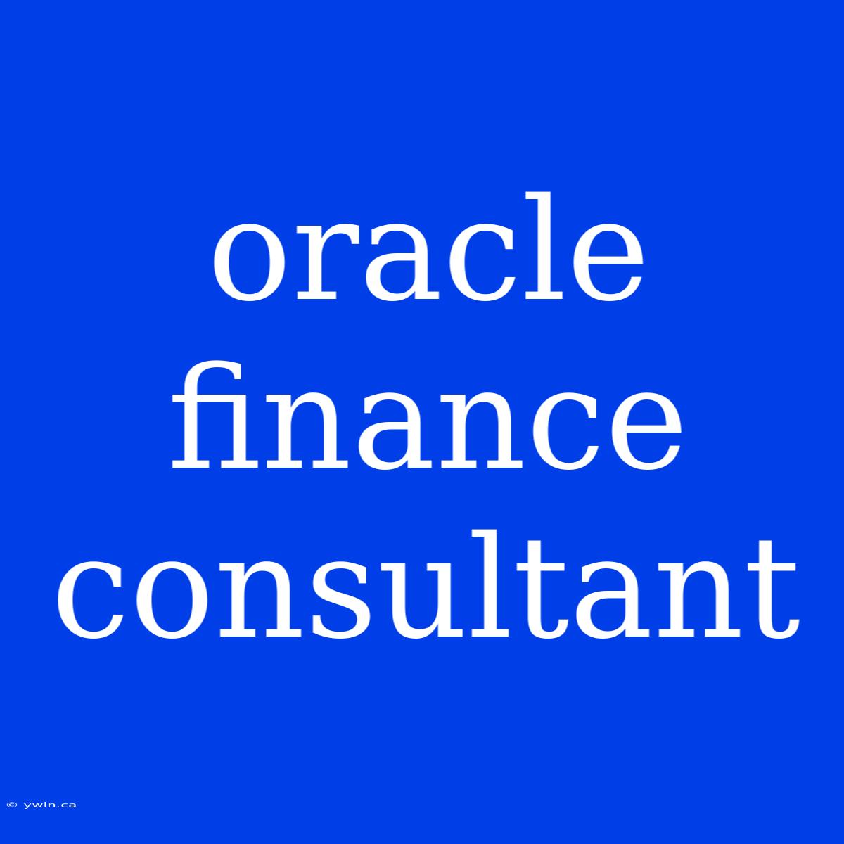 Oracle Finance Consultant