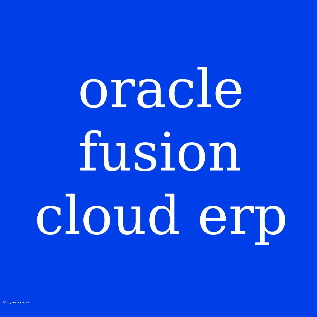 Oracle Fusion Cloud Erp