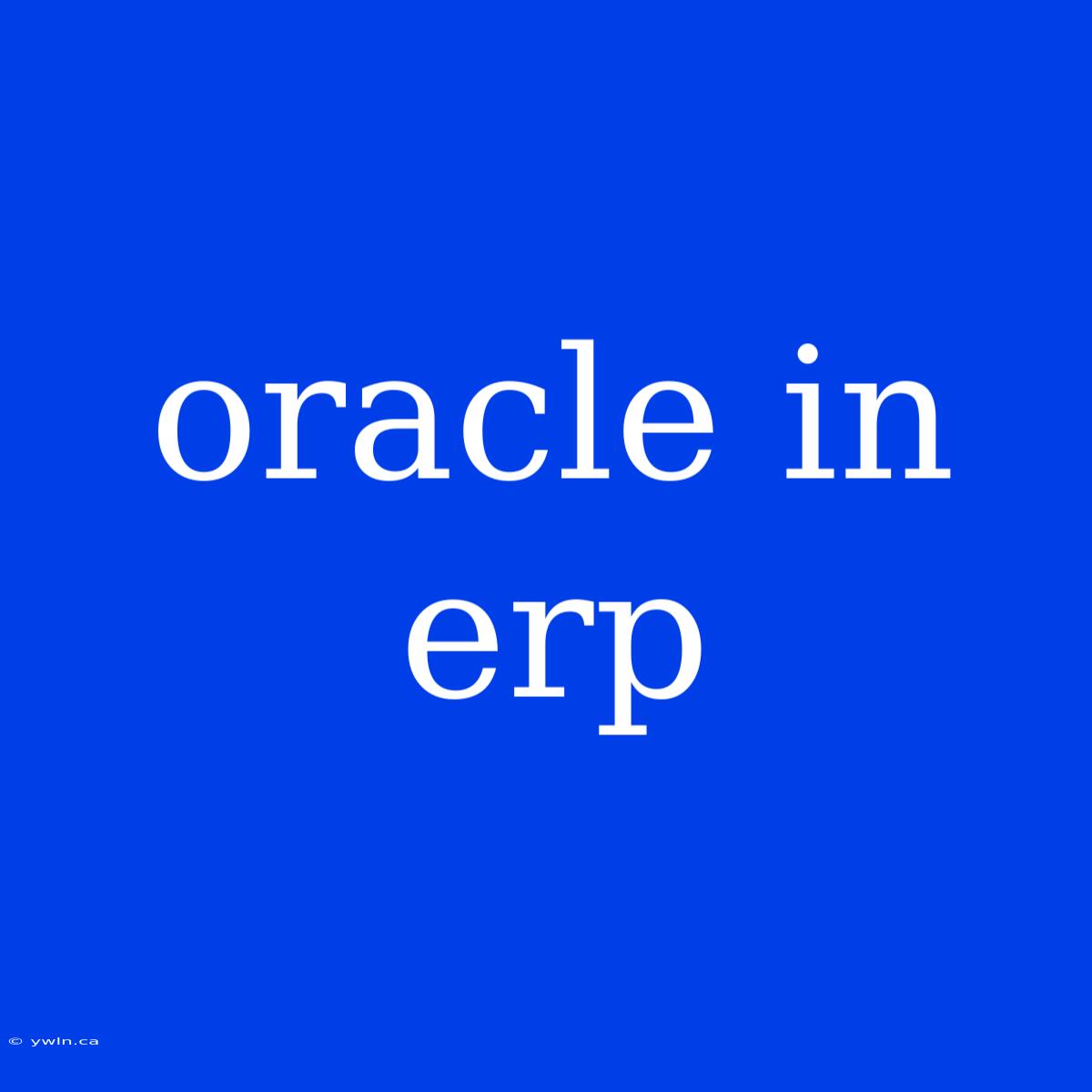 Oracle In Erp