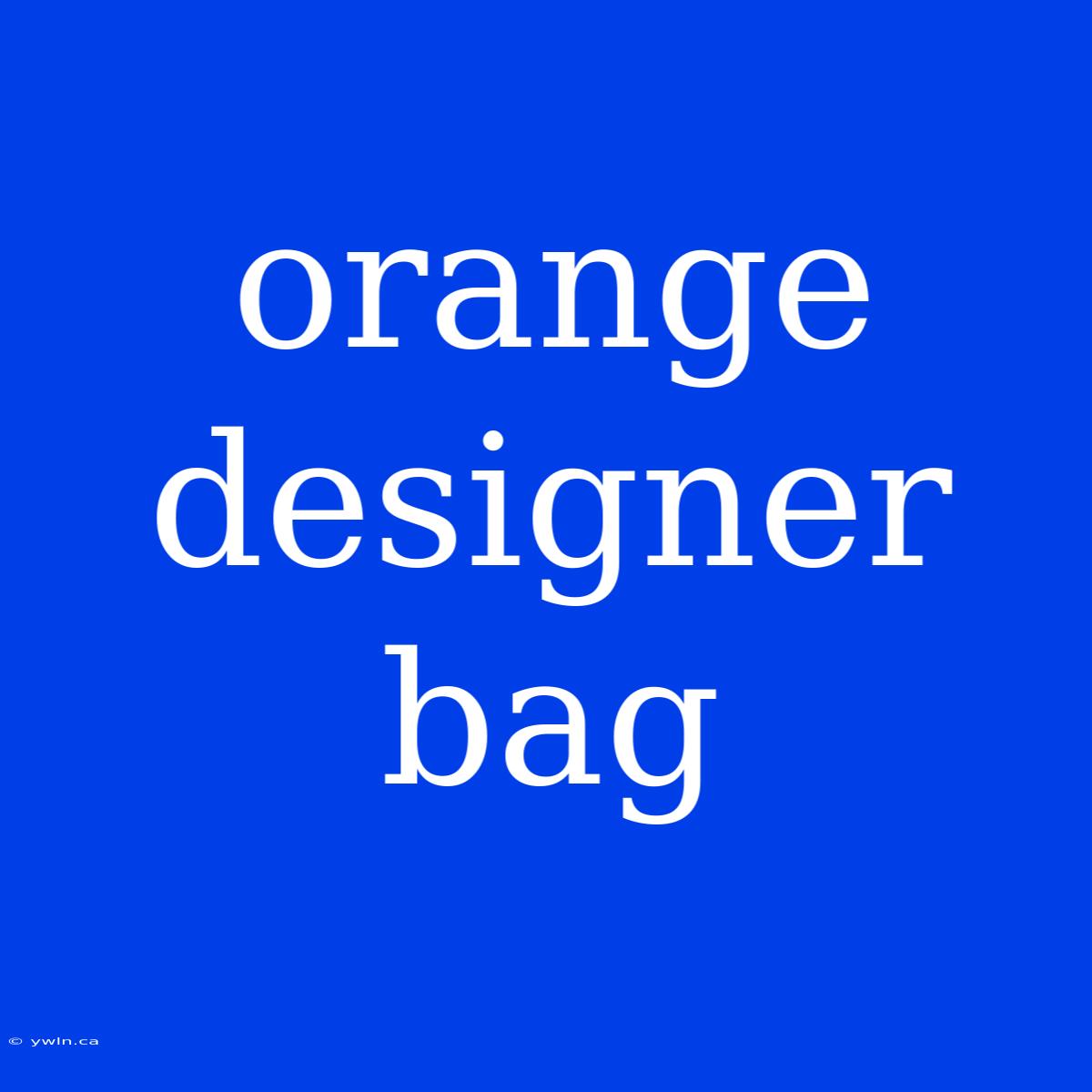 Orange Designer Bag